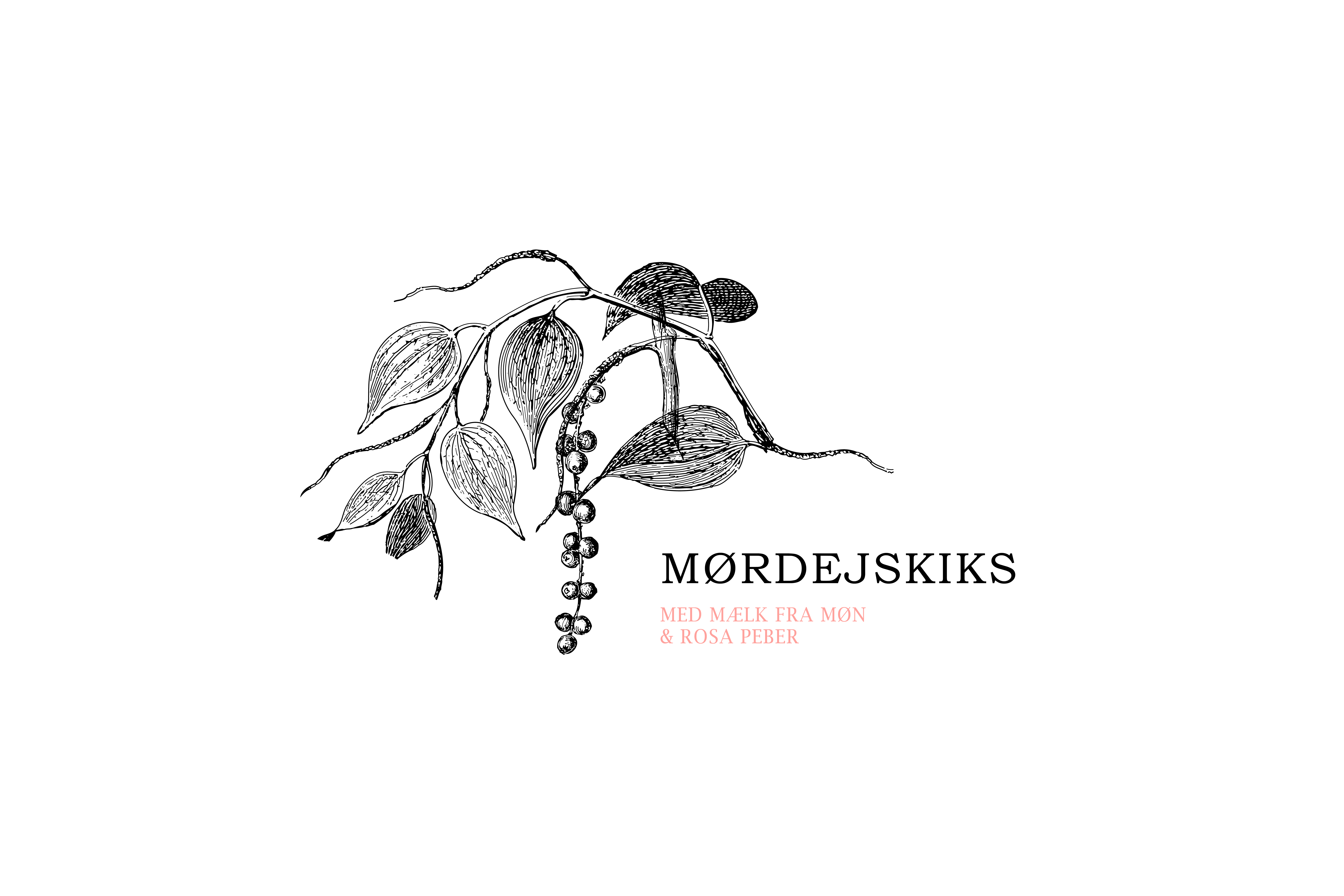 Mõn Kiks work4